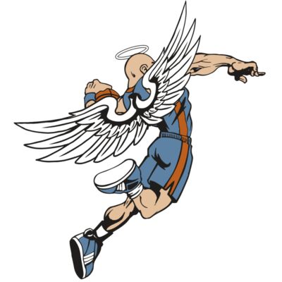 AR17 ANGEL BSKT 02 RQC Thumbnail