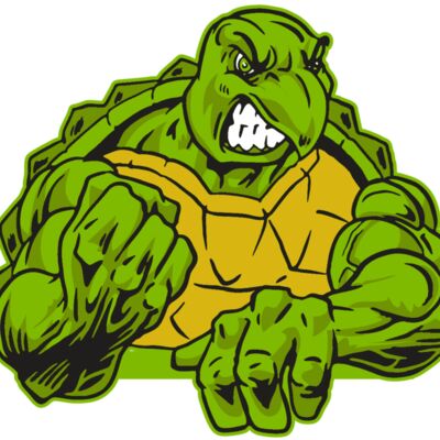 AR31 TURTLE 01 RQC Thumbnail