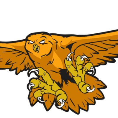 AR31 OWL 01 RQC Thumbnail