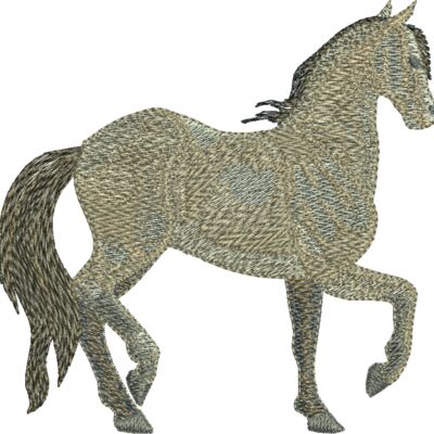 397016 Thumbnail