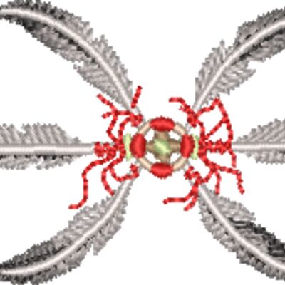 WO062 Thumbnail