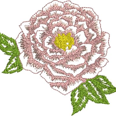 330348 Thumbnail